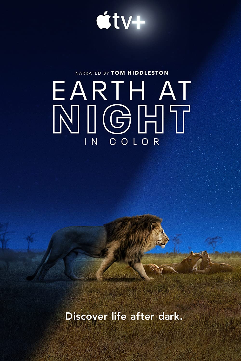 مسلسل Earth at Night in Color الموسم الاول الحلقة 6 السادسة والاخيرة مترجمة