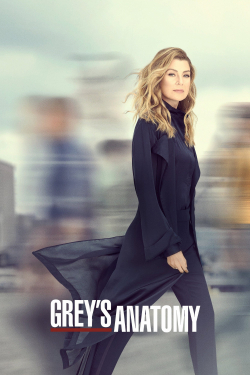 Greys Anatomy الموسم 1 الحلقة 17 مترجم