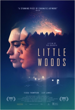Little Woods 2018 مترجم