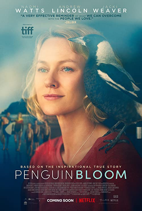 فيلم Penguin Bloom 2020 مترجم اون لاين
