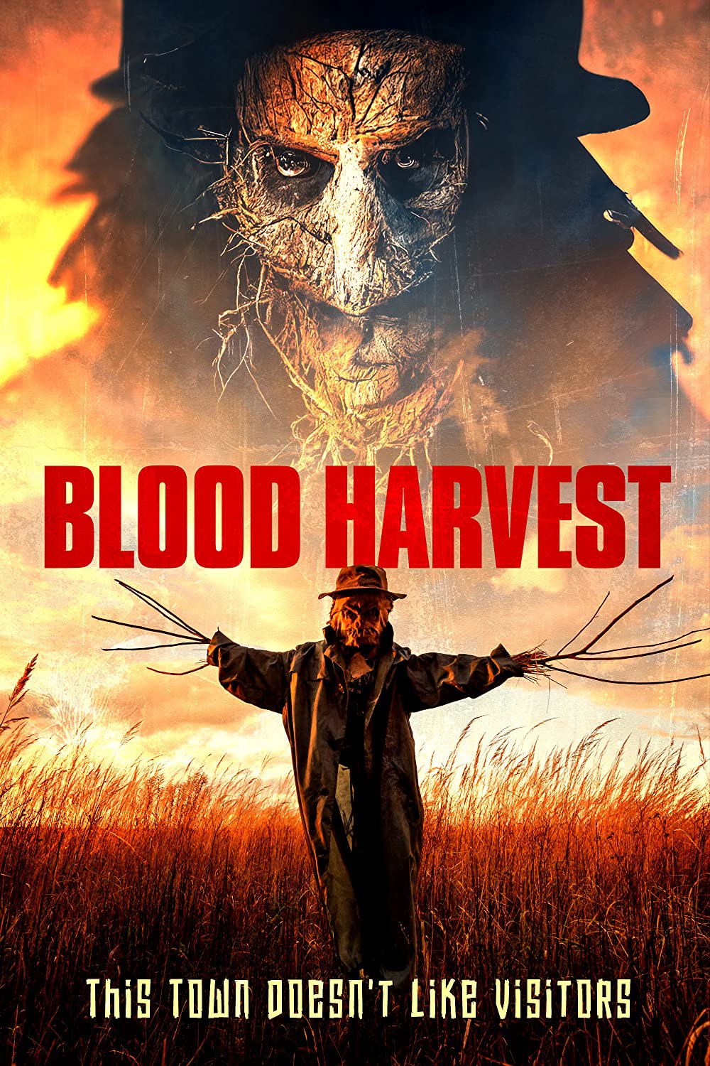 مشاهدة فيلم Blood Harvest 2023 مترجم اون لاين