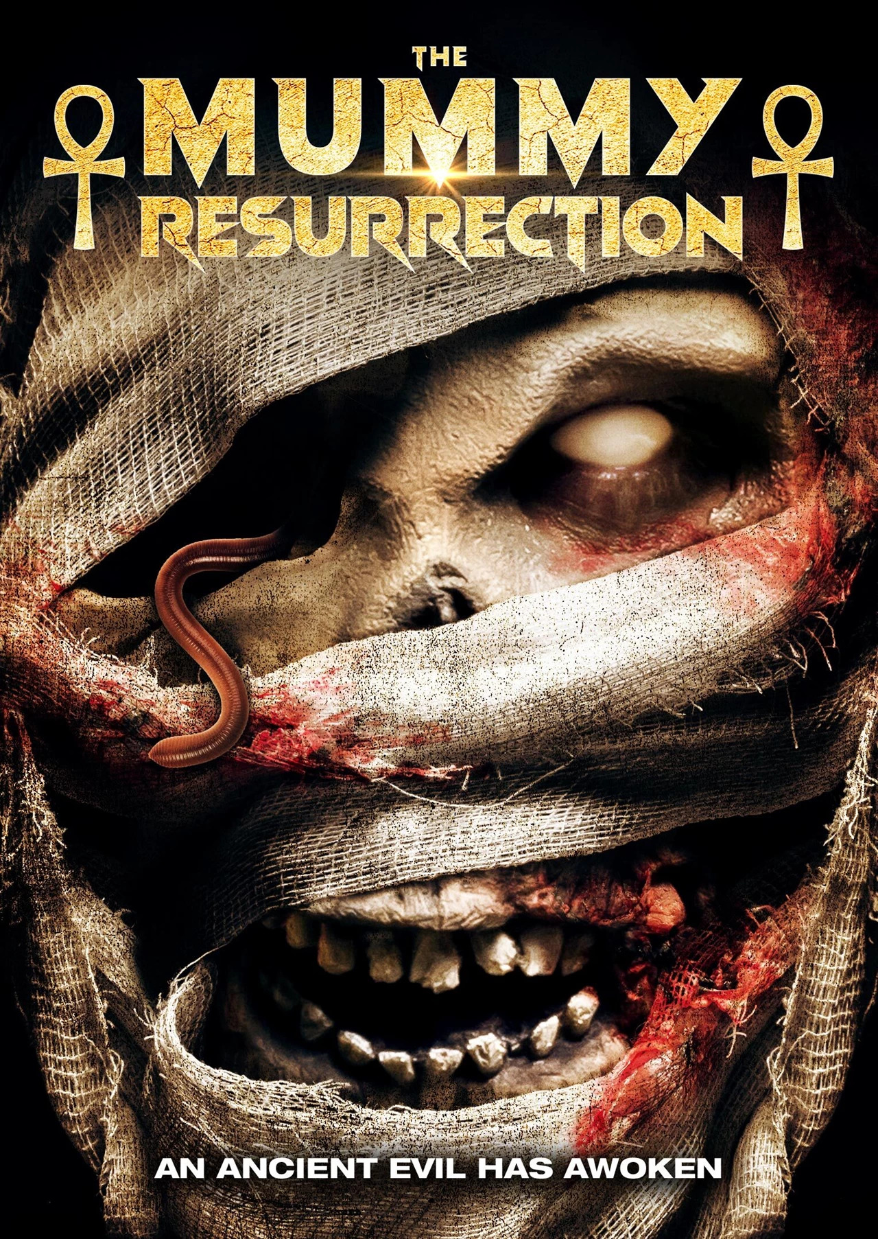 مشاهدة فيلم The Mummy: Resurrection 2022 مترجم اون لاين